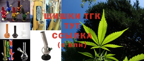 шишки Абаза