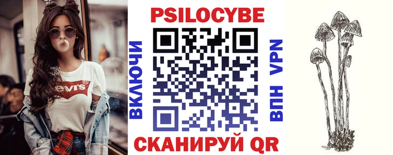 закладки  Почеп  kraken   Псилоцибиновые грибы Magic Shrooms 